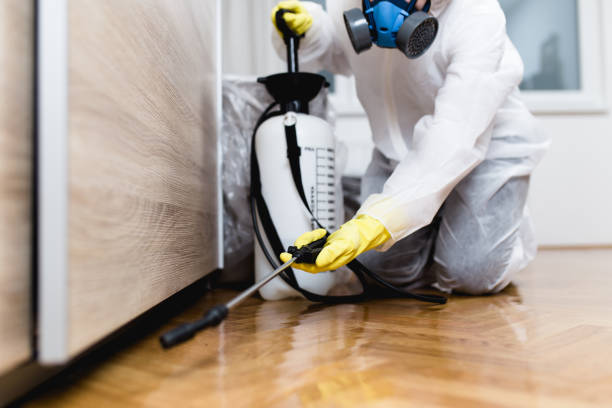 Best Pest Control Treatment  in Aquia Harbour, VA