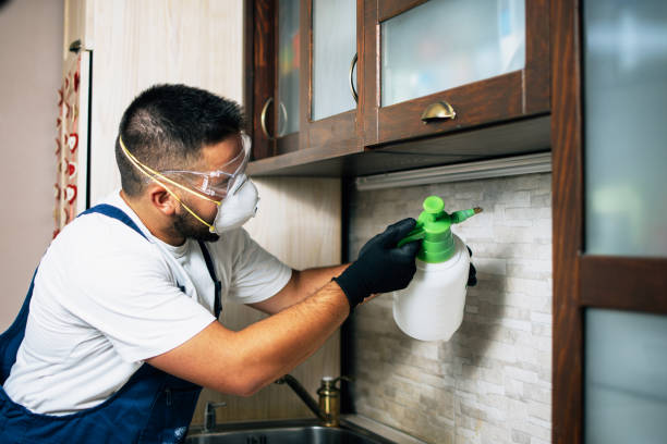 Best Bed Bug Extermination  in Aquia Harbour, VA