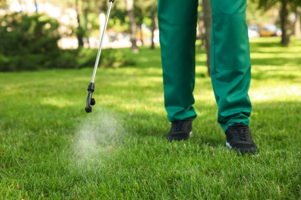 Trusted Aquia Harbour, VA Pest Control Experts