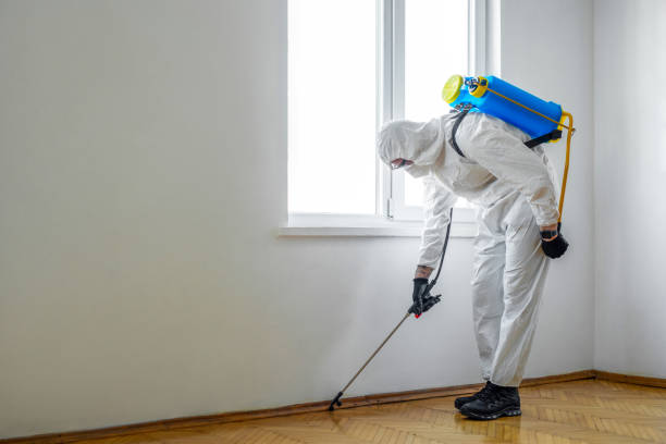 Best Best Pest Control Companies  in Aquia Harbour, VA