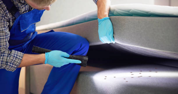 Best Rat Extermination Near Me  in Aquia Harbour, VA